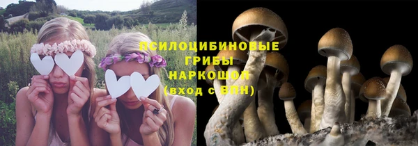 соль курить ск Алексеевка