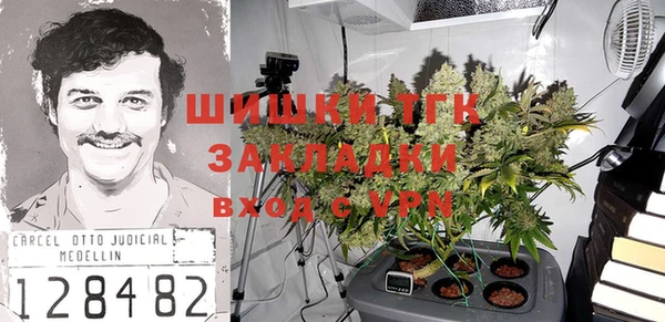 прущие грибы Заводоуковск