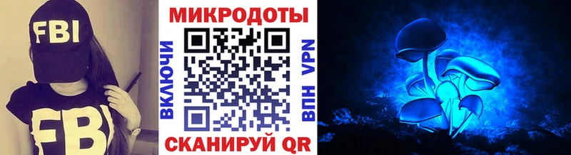даркнет сайт  Искитим  маркетплейс клад  Галлюциногенные грибы Psilocybine cubensis  hydra рабочий сайт 